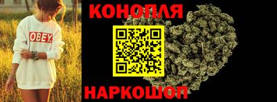 jwh Камышлов