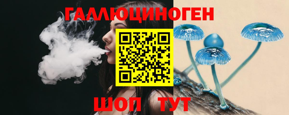 Галлюциногенные грибы GOLDEN TEACHER Кинель